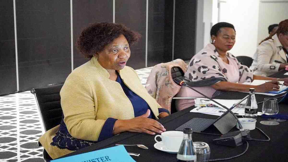 Angie Motshekgeka addresses parliament on eligibility criteria of the Funza Lushaka bursary 